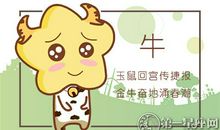 属牛如何保持自己在事业上的冲劲