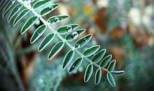 属马人2019年应该如何催旺运势