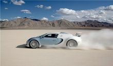 属狗车牌号码吉凶数字