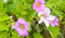 埃里克2017年5月星座运势