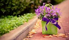 狂月本周星座运势（2017.4.24-4.30）