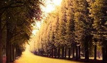 山水清澈本周星座运势（2017.4.23-4.29）