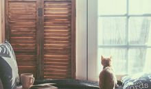 最塔罗本周星座运势（2017.12.11-12.17）