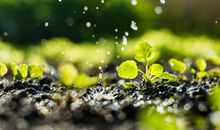 佩妮本周星座运势（2017.10.9-10.15）