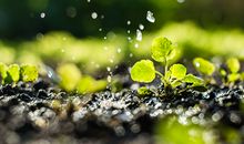 喜神方位查询 2020年12月9日喜神在哪个方位