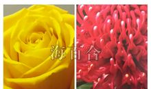 神准测试|最近谁会给你带来好运？