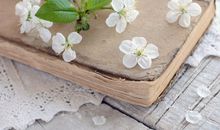 山水清澈本周星座运势（2017.6.4-6.10）