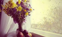 八月爱情运势最好的星座（2018）