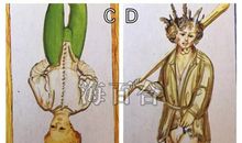 神准测试|今生你为谁而来？