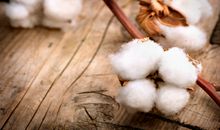 最塔罗2017年11月星座运势