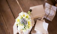 玉宸七政四余本周星座运势（6.12-6.19）