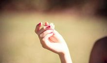 生肖出生时间与命运的关系