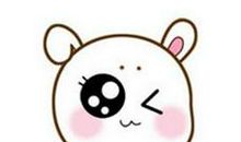 如何追求生肖兔女生