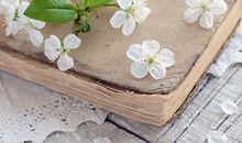 神叨酱塔牌测试12.25日运