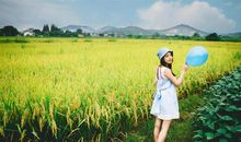 堪称背锅大师，这几个星座日常容易遭受委屈