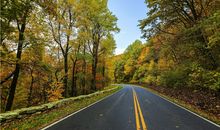 孕妇梦到三只老鼠