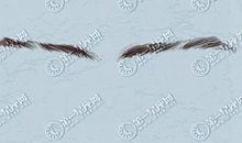 眉毛前浓后淡男人运势 不同眉型运势