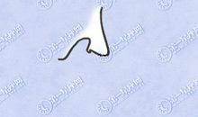 三种朝天鼻型的命运 男人鼻孔朝天的面相好吗