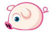 属猪的幸运数字