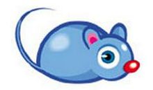 属鼠的幸运数字