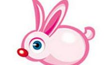 属兔的幸运数字