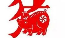 生肖猪2012年运势提前报