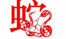 生肖蛇2012年运势提前报