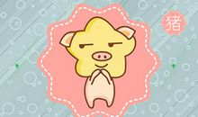 属猪人的劫数年龄段 一生的劫数运势分析