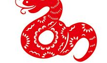 2012年生肖蛇人缘运势