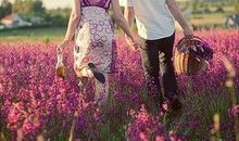 各生肖最适合结婚的月份