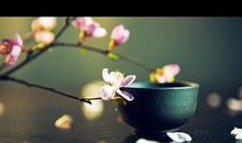 出生月份看生肖羊今生的姻缘