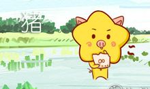 属猪女生怎么看老公不陪自己回娘家