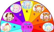 出生月份看12生肖今生的姻缘