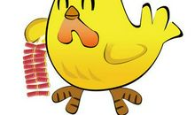 生肖鸡逐年、逐月、逐日、逐时福禄详解