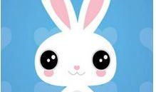 生肖兔逐年、逐月、逐日、逐时福禄详解