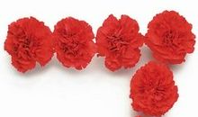 生命灵数中的空缺数会带来缺陷吗