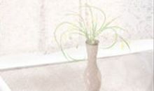 如何追求12生肖的女人