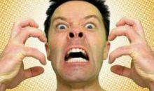 你对白痴同事的容忍度有多高