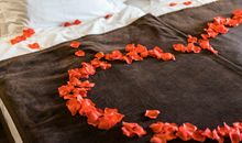 属蛇本命年结婚好吗