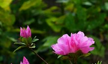 春分的习俗，春分的来历