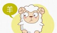 羊女的婚配属相