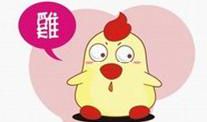 鸡女的婚配属相