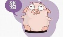 猪女的婚配属相