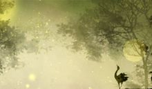 2020世界法律日宣传语 横幅宣传标语