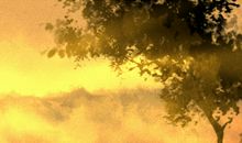 5月15日是什么日子 国际家庭日