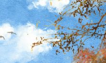 2020国际家庭日宣传标语 主题宣传语