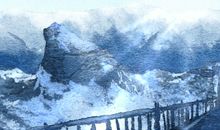 2020国际生物多样性日是几月几日 什么时候