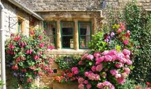 心理测试：等你老了，你会住进哪个院子？测你以后福气有多大？