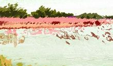 世界特殊节日独特在哪里