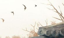 世界地球日宣传语段 宣传说说